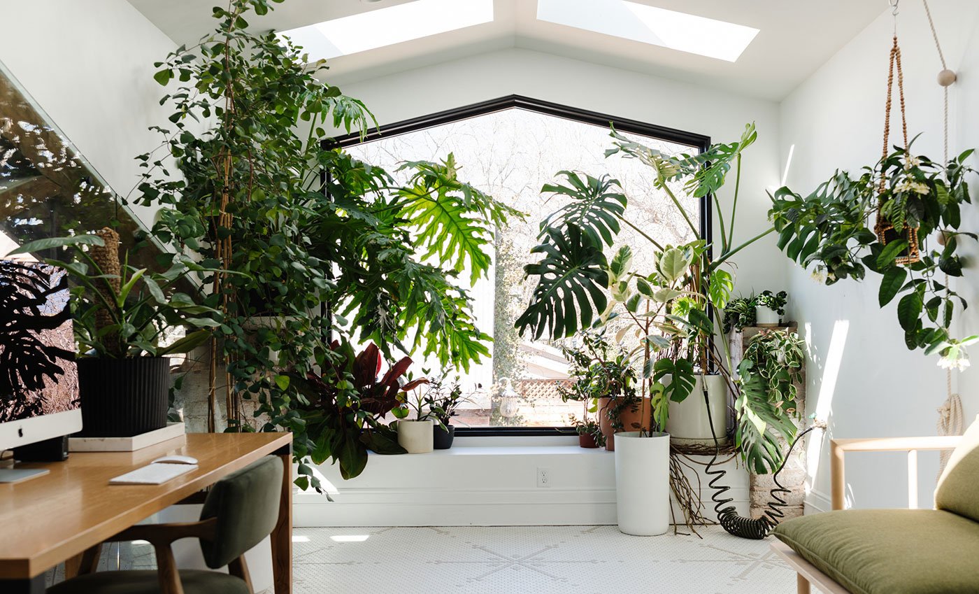 A living room with clerestory windows on both sides and floor-to-ceiling windows facing the backyard