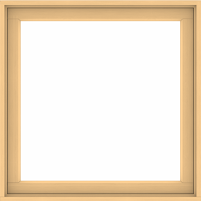 200 Series Picture Window